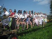 Maibaum aufstellen 2012 in Frasdorf (©Foto: Anton Hötzslperger)